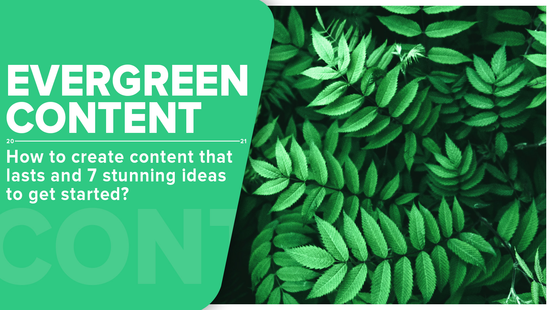 evergreen content creation cover image